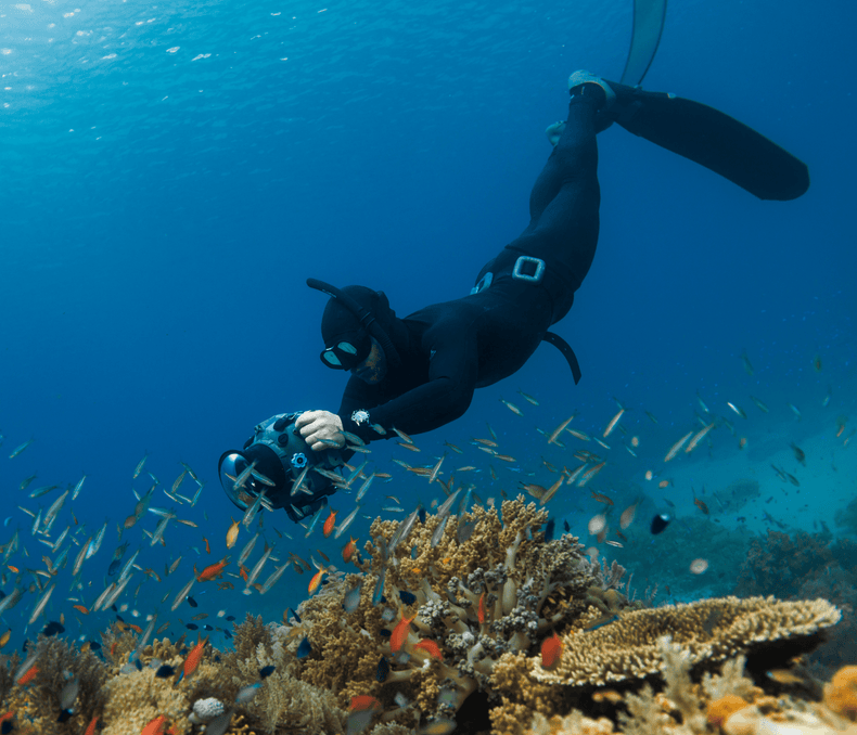 Take It Further: Diving in Indonesia's Underwater Paradise