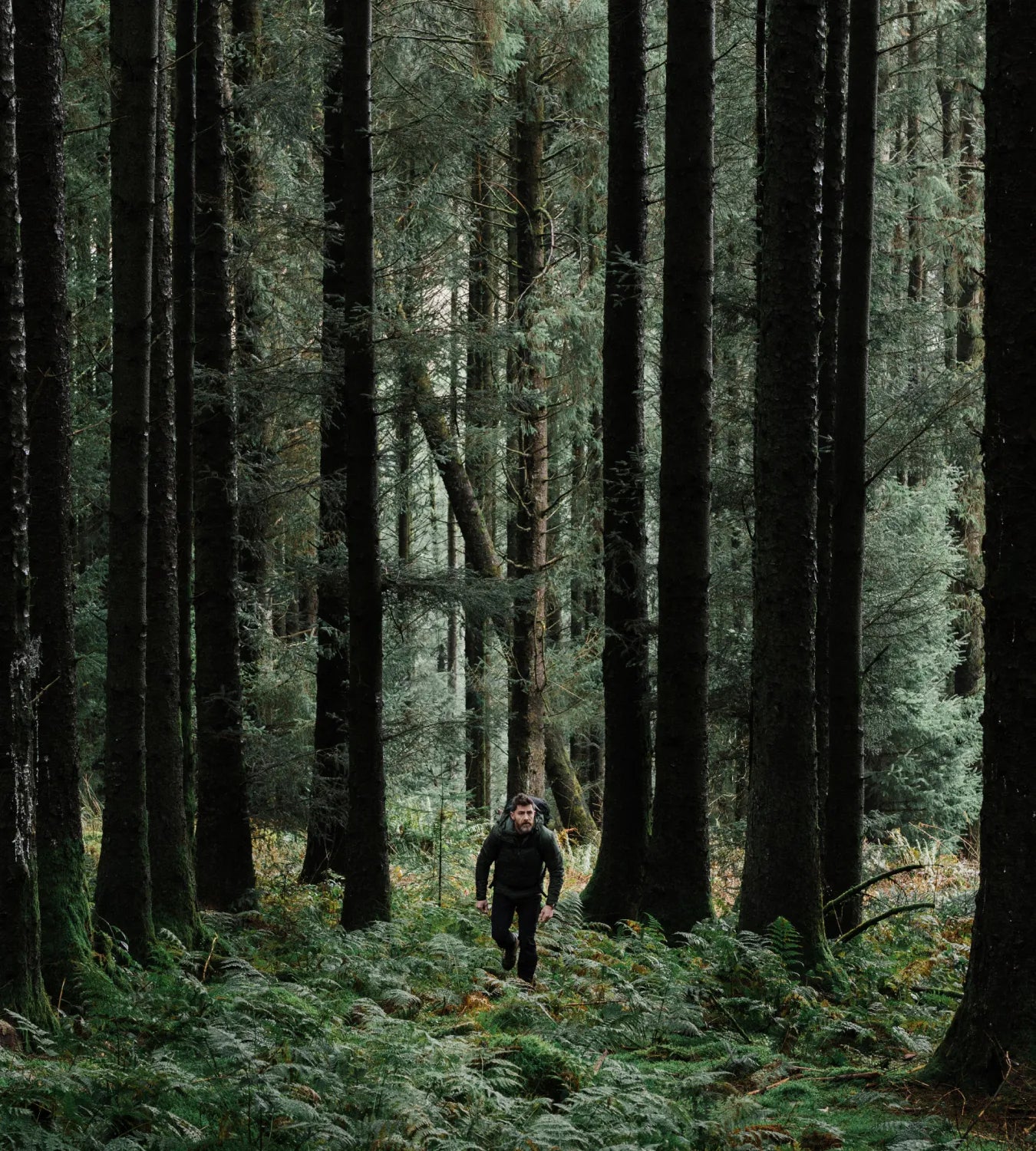 Bremont Watch Company (US)