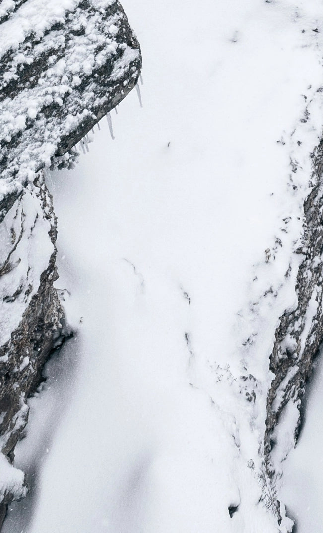 Bremont Watch Company (US)