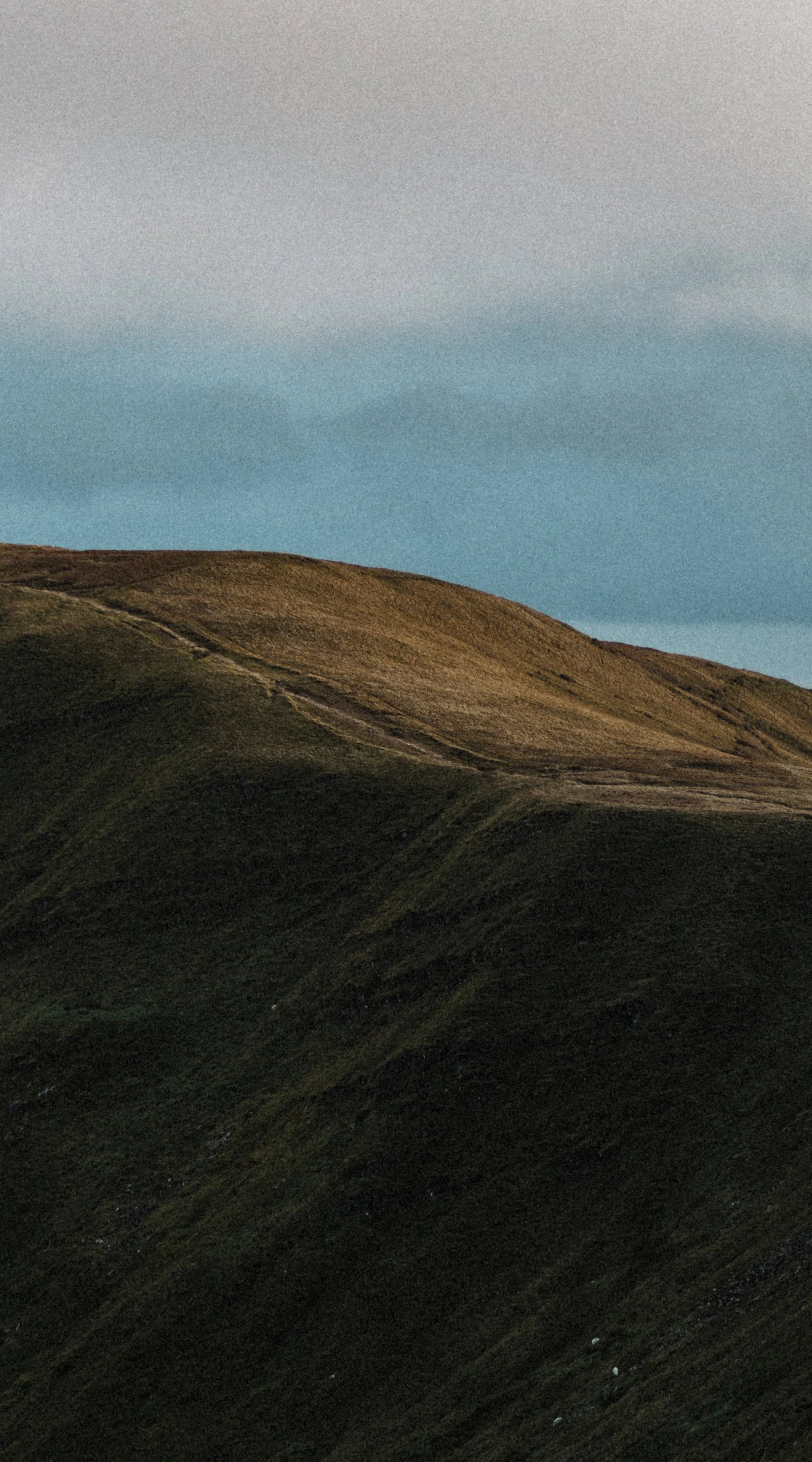 Bremont Watch Company (US)